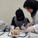 Small group workshops